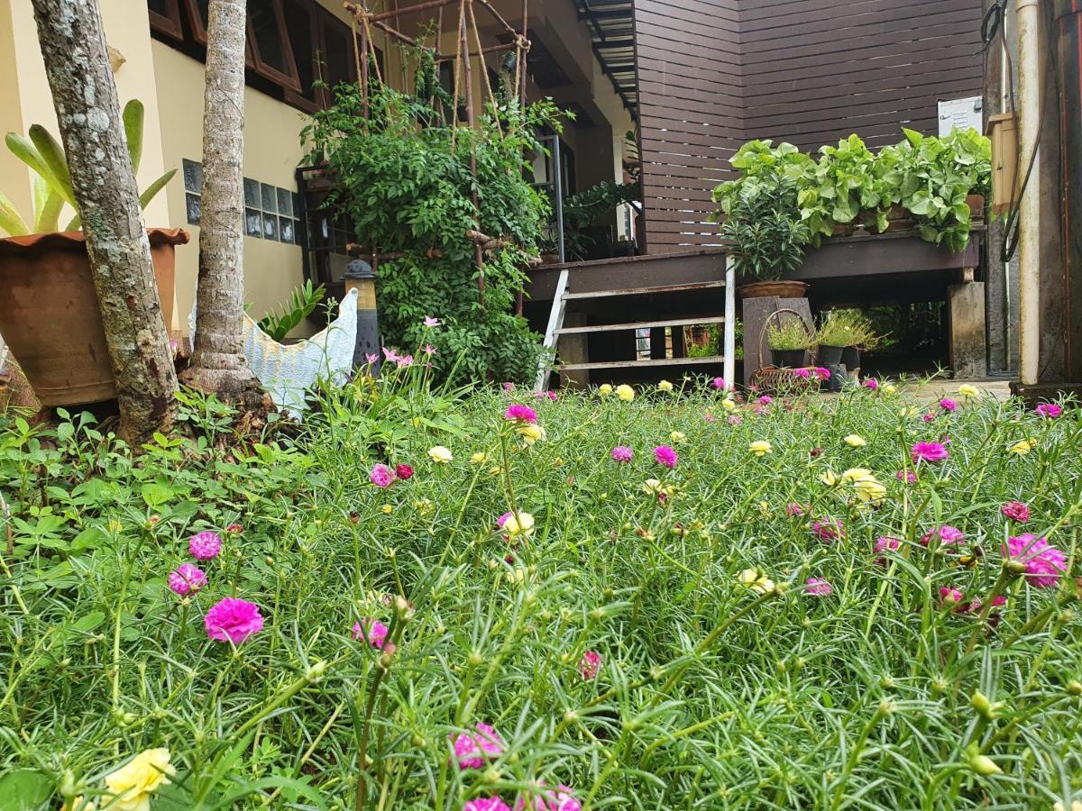 Ritzy House Hotel Chumphon Εξωτερικό φωτογραφία